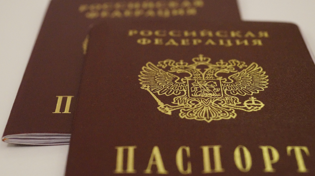 С начала года брянцам выдали более 9 тысяч цифровых паспортов