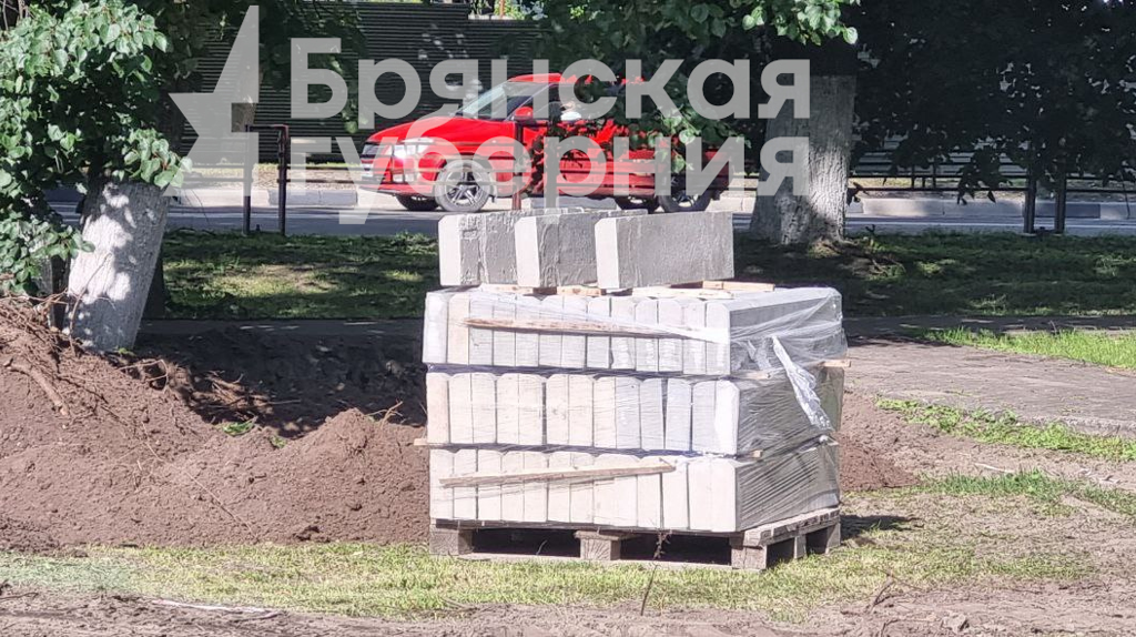 В роще Лесные сараи в Брянске готовят площадку под памятник пограничникам