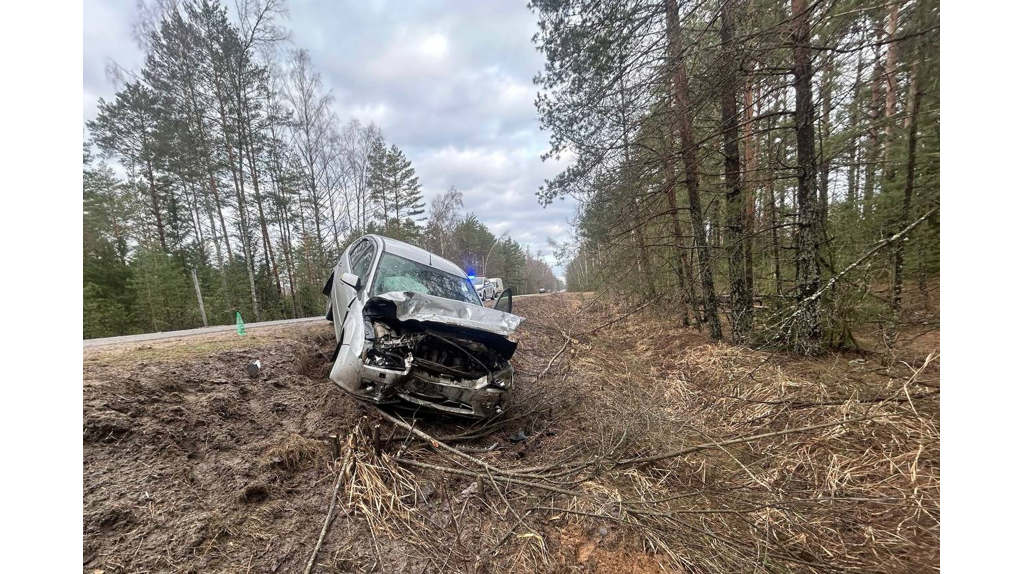 В ДТП на брянской трассе пострадали два водителя 28 и 24 лет