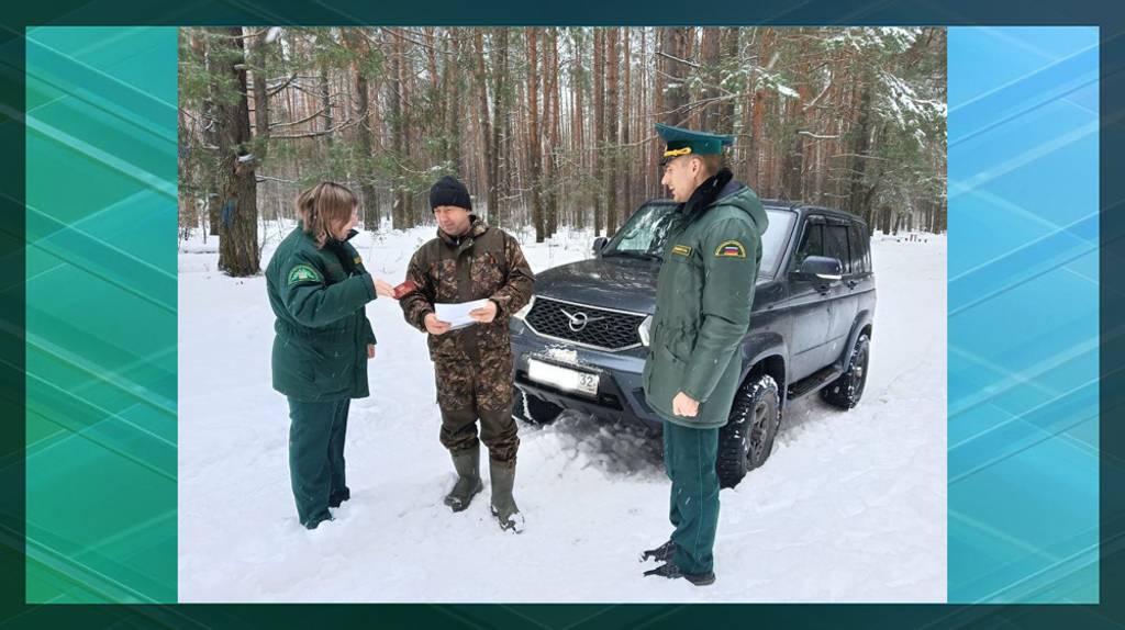 Подведены итоги охраны новогодних деревьев в Брянской области