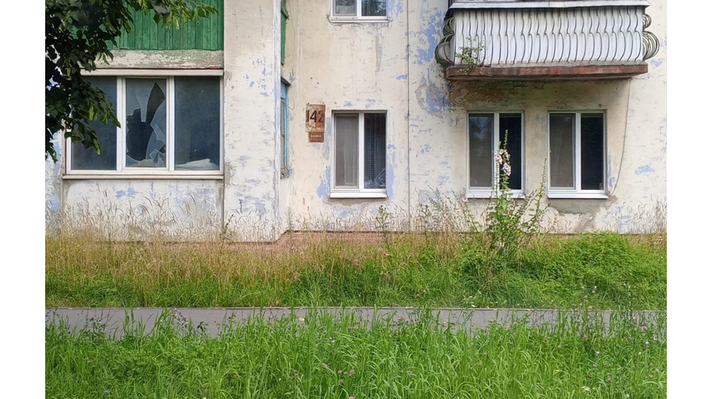 Жители бежицких многоэтажек пожаловались на заросшие травой дворы