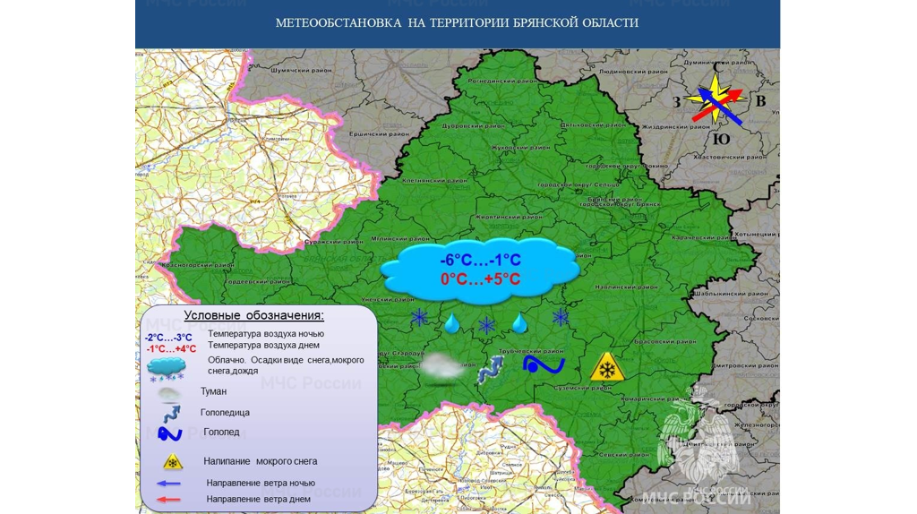 Брянцам на Рождество обещают дождь и +5ºC