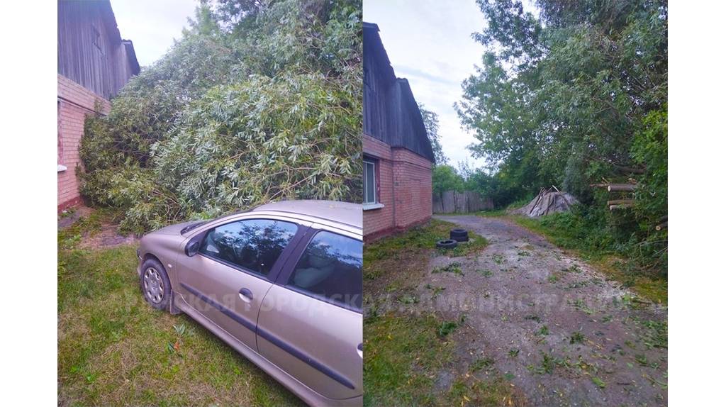 В Брянске убрали рухнувшее у частного дома дерево по улице Дальней