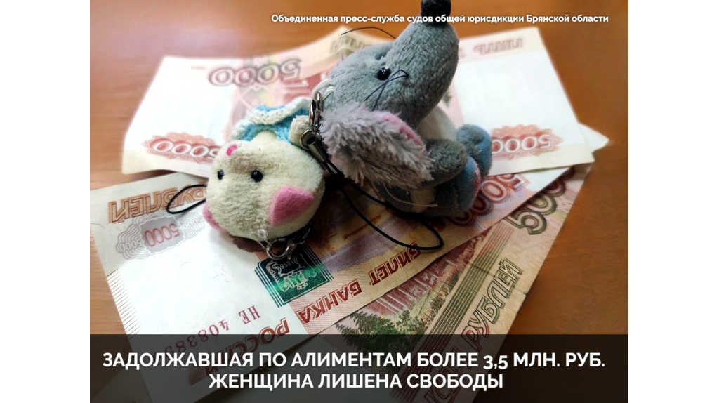 В Клинцах задолжавшую более 3,5 млн рублей алиментщицу отправили на полгода в колонию