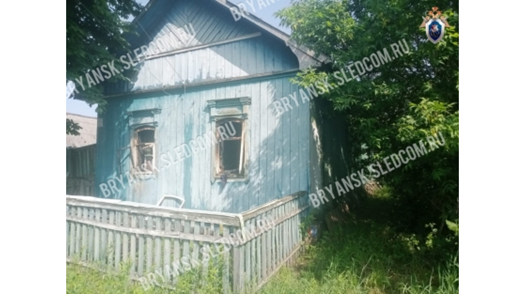 Брянские следователи начали проверку гибели людей на пожаре в селе Каменский Хутор
