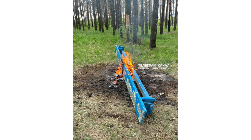 В Брянске сфотографировали помойку на Орлике после праздника