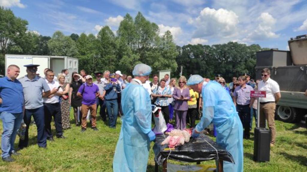 В Трубчевском районе прошли учения по ликвидации африканской чумы свиней
