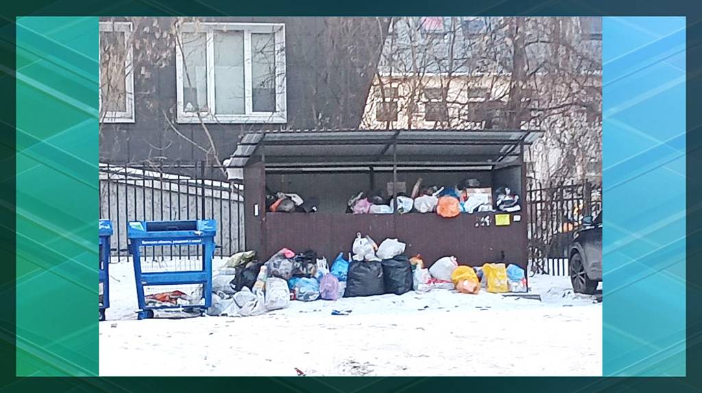 В Брянске мусоровозы не смогли вывезти отходы с Пролетарской из-за жильцов