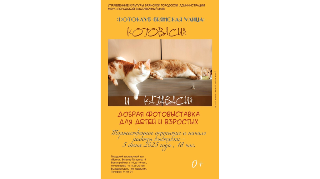В Брянске 5 июня торжественно откроется добрая фотовыставка «Котовасия и катовасия»