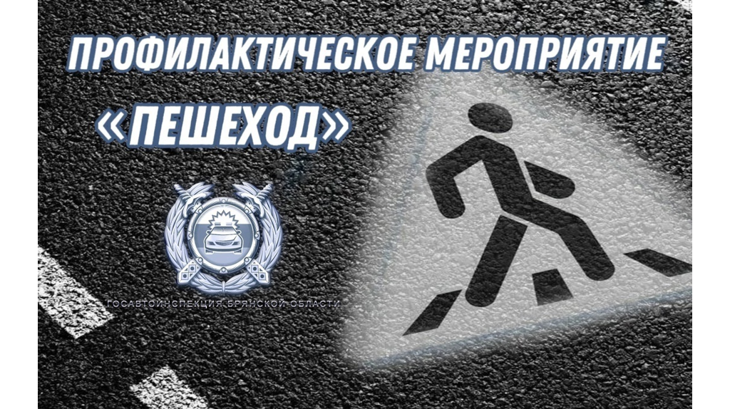 В трех районах Брянской области проходит операция «Пешеход»