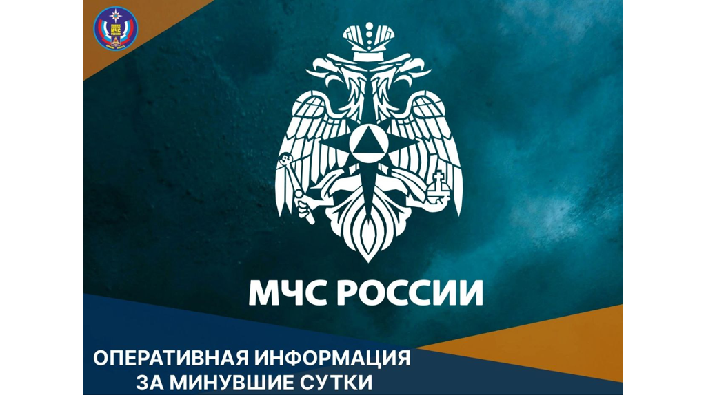 За сутки Брянщина горела 17 раз