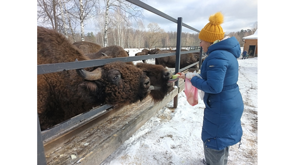 В заповеднике 