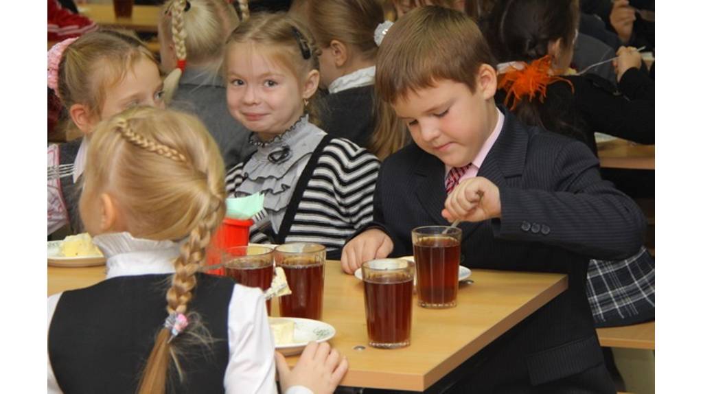 Брянские «фронтовики» запустили мониторинг питания в школах