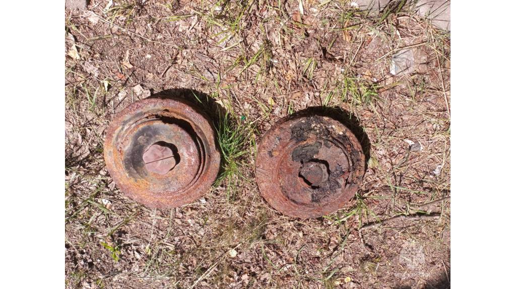 В лесу в Новозыбковском районе нашли две противотанковые мины