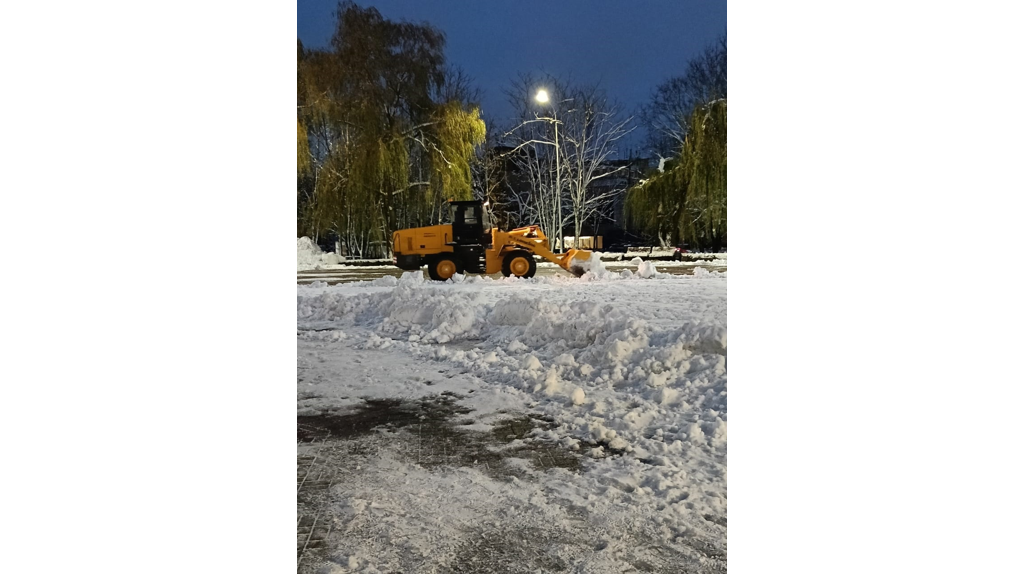 В Брянске из-за непогоды рухнули более 100 деревьев