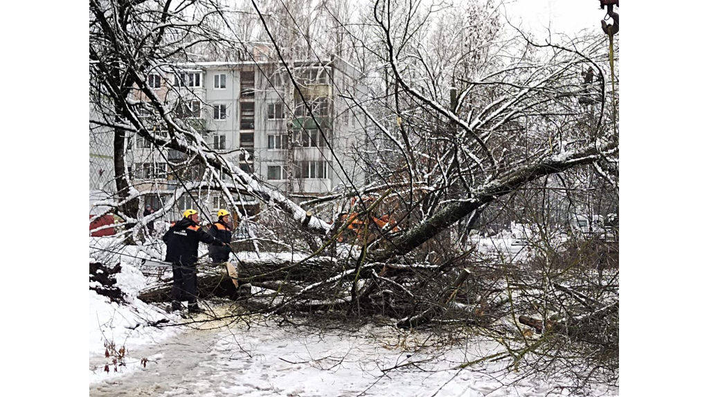 В Брянске устраняют последствия снегопада