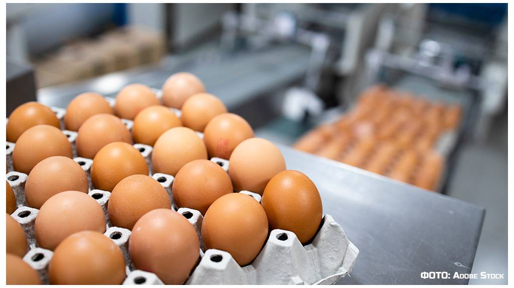В брянских магазинах сохраняются высокие цены на яйца