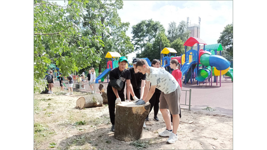 «Первые» помогли коммунальщикам Климово убрать деревья после урагана