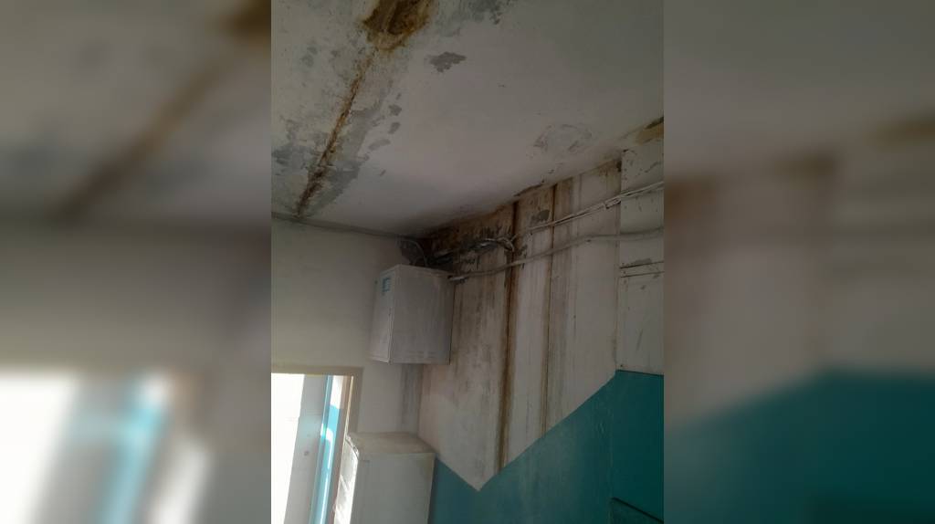 Вонючая квартира отравила жизнь жильцам дома в городе Фокино Брянской области