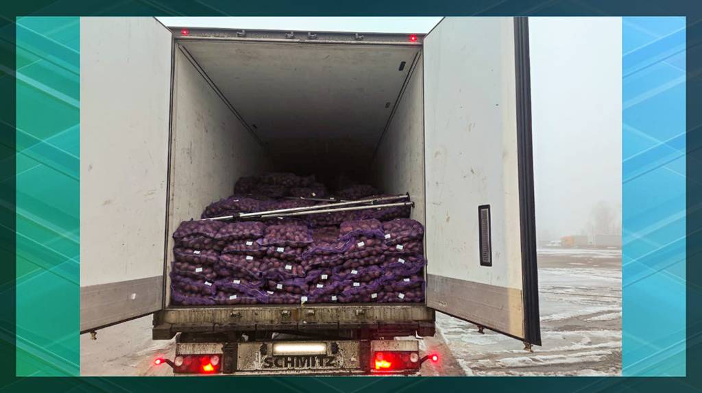 Брянские таможенники задержали грузовик с 15 тоннами подозрительных груш из Беларуси