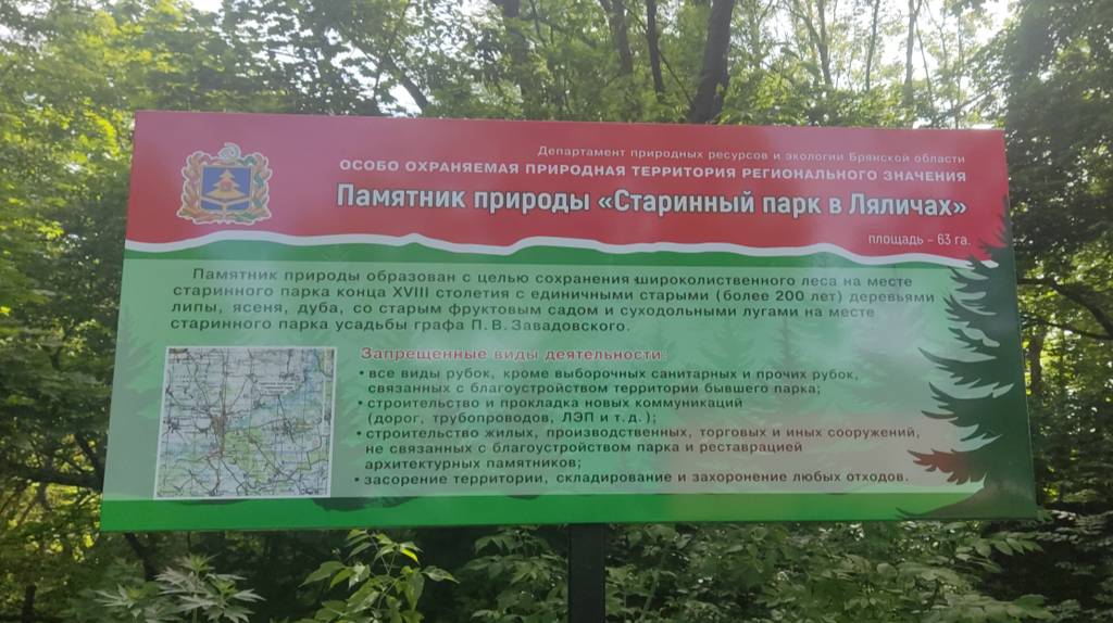 Заросший парк графа Петра Завадовского в брянских Ляличах обозначили аншлагом