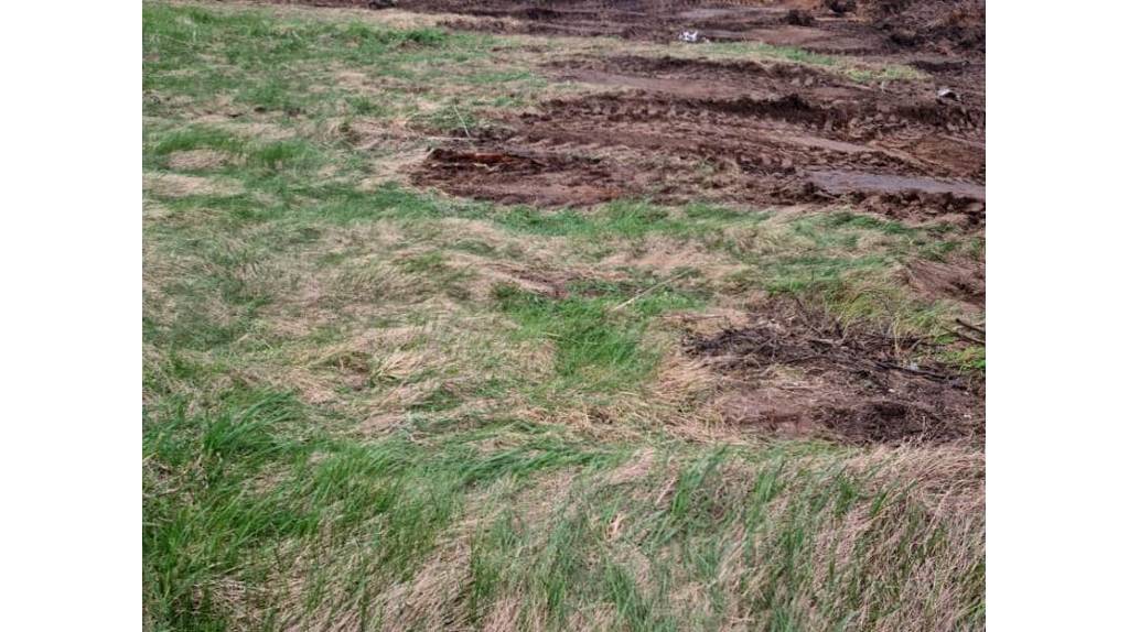 В Брянской области ликвидировали шесть свалок на сельскохозяйственных землях