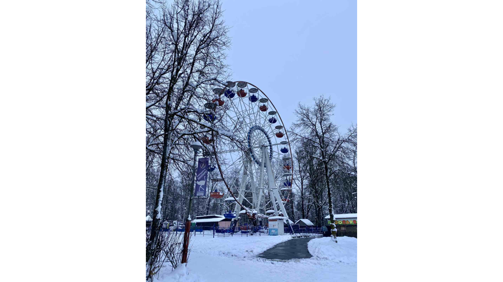 Настоящая зима пришла в Брянск