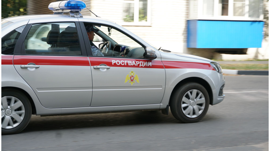 Более 240 преступлений не допустили брянские росгвардейцы за неделю
