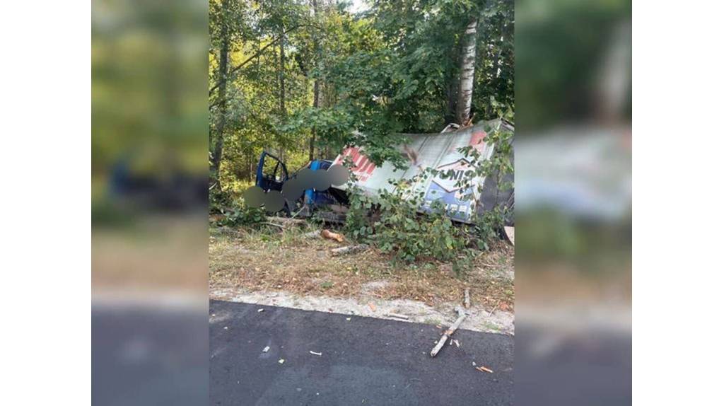 В брянском приграничье грузовик вылетел с дороги и врезался в дерево