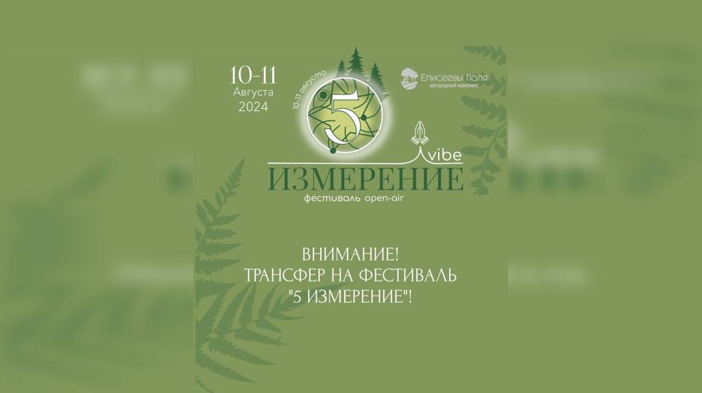 В Брянске пройдёт семейный фестиваль «5 измерение Vibe open-air»