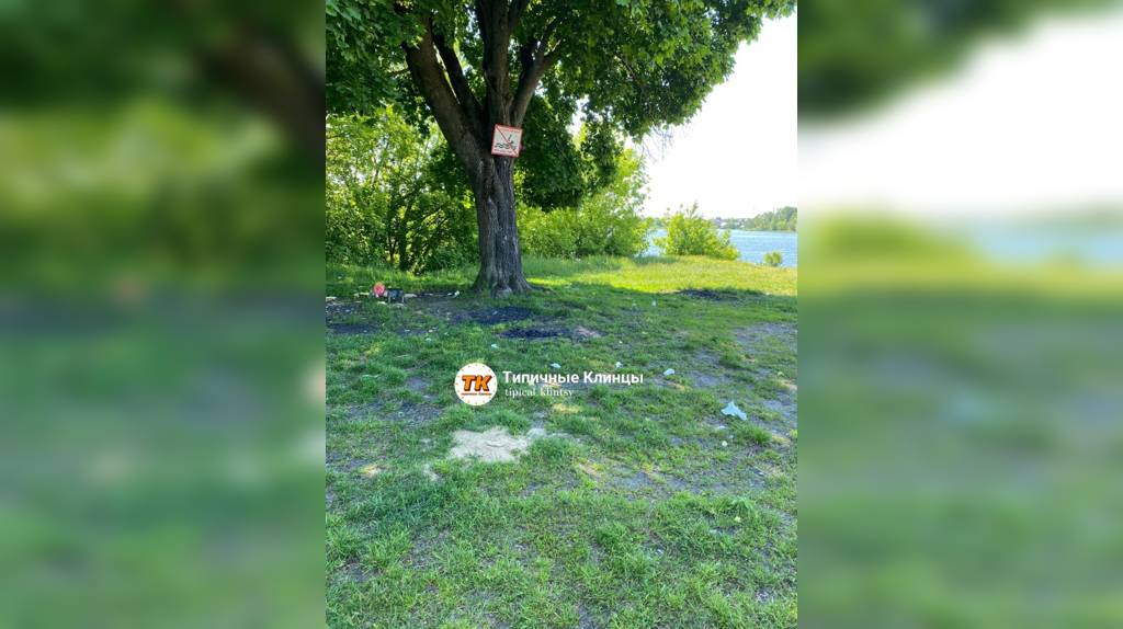 Жители Клинцов пожаловались на залежи мусора на пляже Стодольского озера