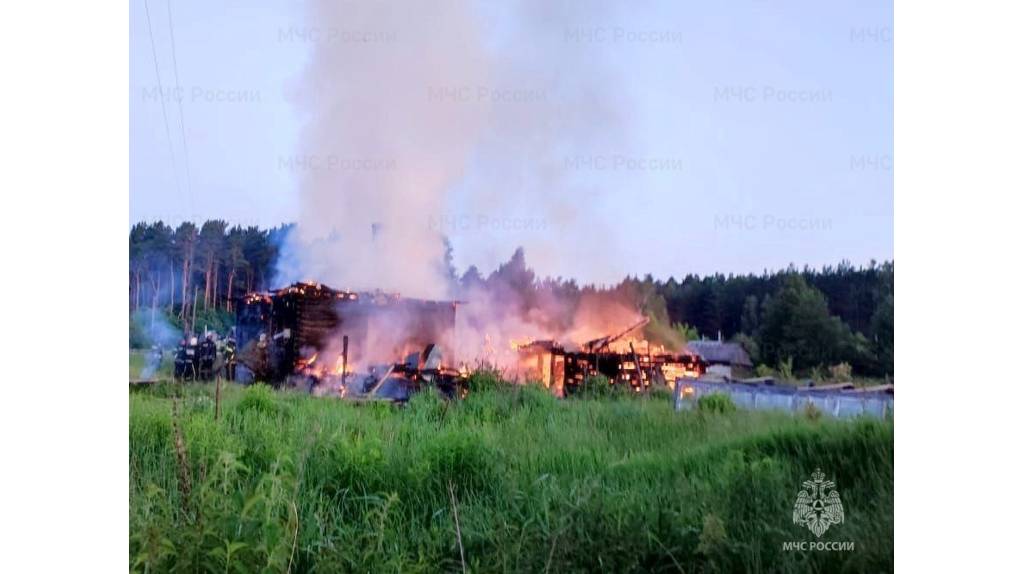 В Брянской области за неделю произошло 36 пожаров: один человек погиб