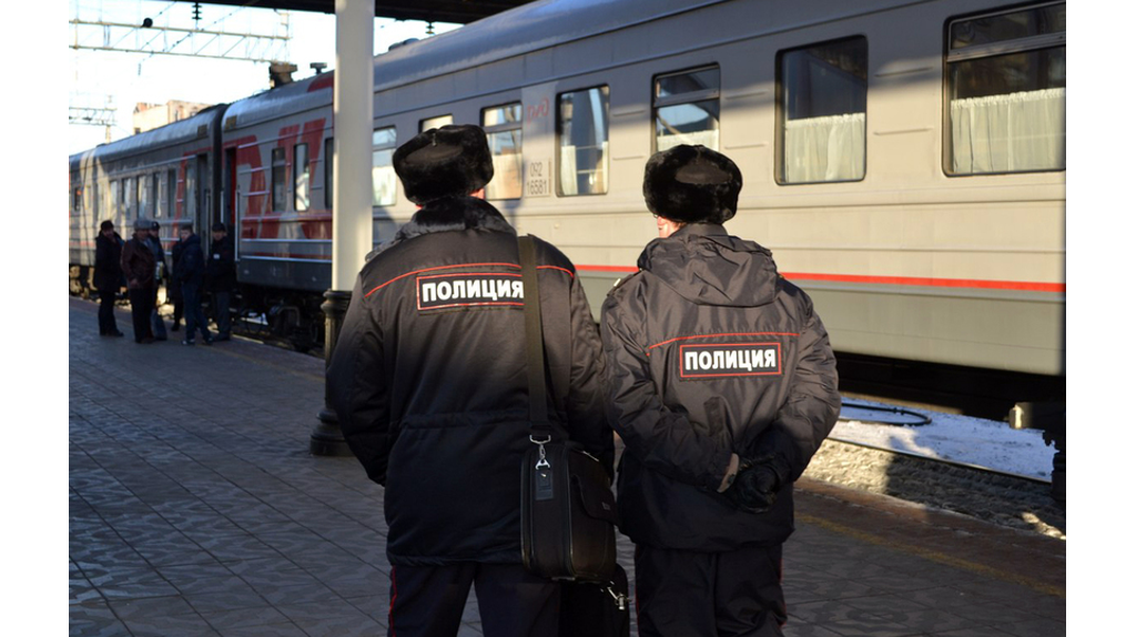 Пьяная жительница Москвы в поезде ударила брянского полицейского при исполнении