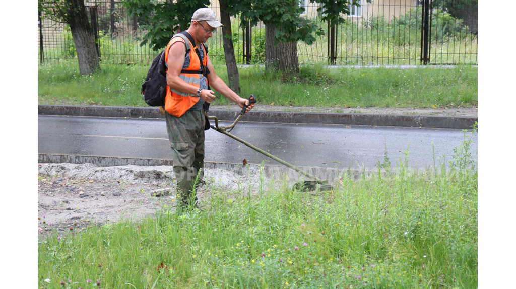 В Брянске за сутки скосили траву на площади в 13 футбольных полей