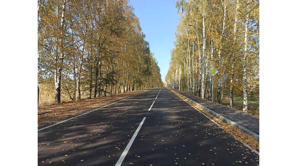 По нацпроекту обновляют дороги в Брянской городской агломерации