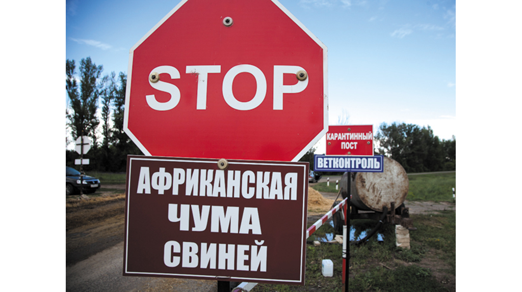 Брянским фермерам напомнили о месячнике по птичьему гриппу и АЧС