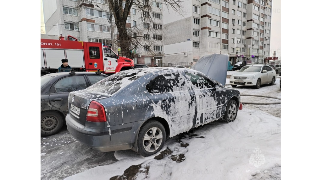 В Брянске огнеборцы ликвидировали пожар в автомобиле