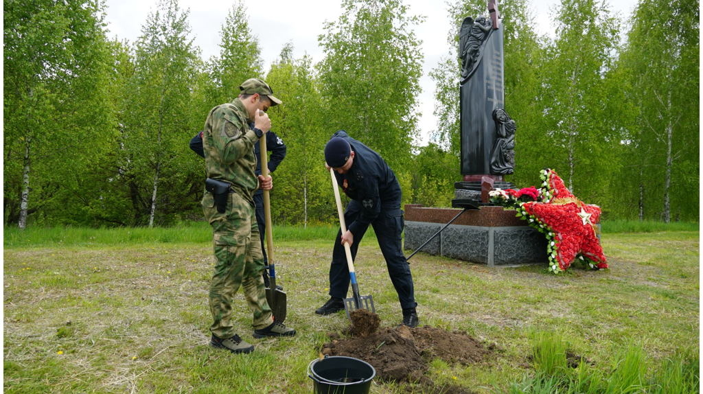 Росгвардейцы высадили кедры и сосны на новой аллее памяти в Севском районе