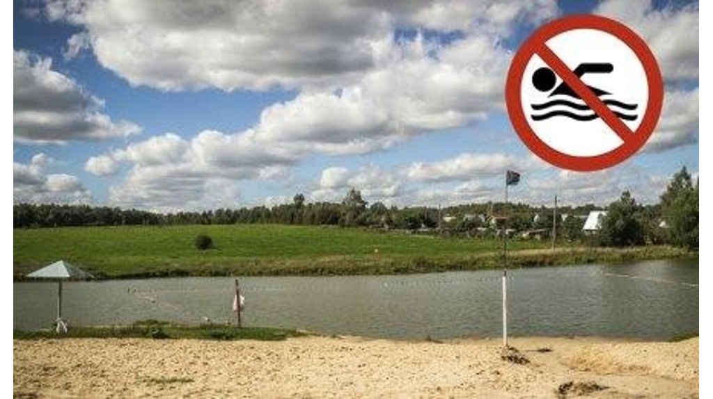 В брянском селе Хотылево в Десне обнаружили сальмонеллу – купание запрещено