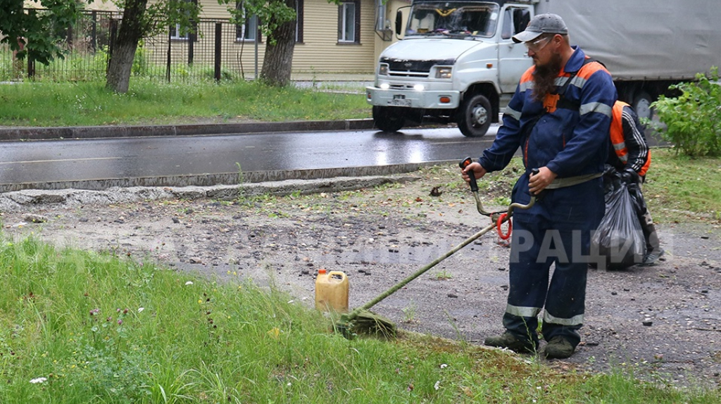 В Брянске за выходные скосили более 182 тысяч квадратных метров газонов