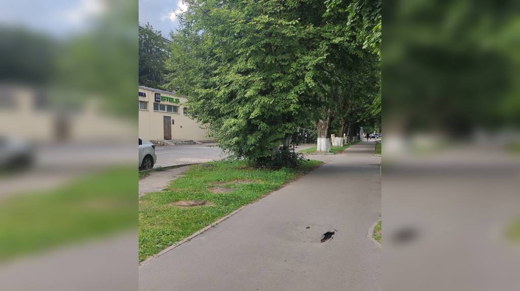 В Брянске у поликлиники №5 начал проваливаться асфальт на тротуаре