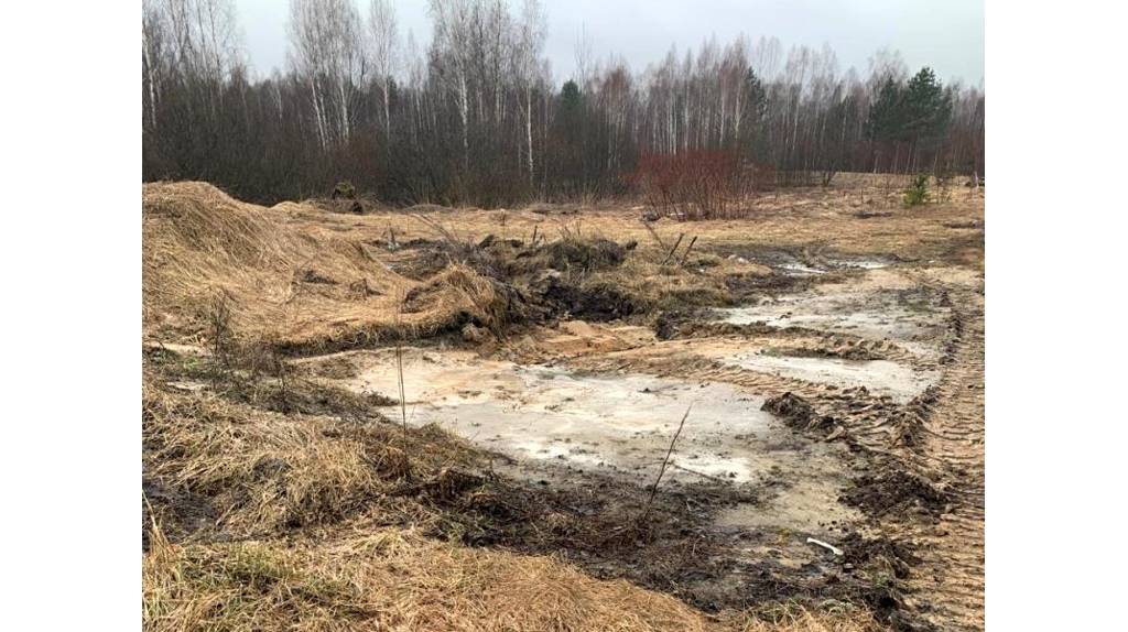 В Дубровском районе ликвидировали свалку на сельхозземлях