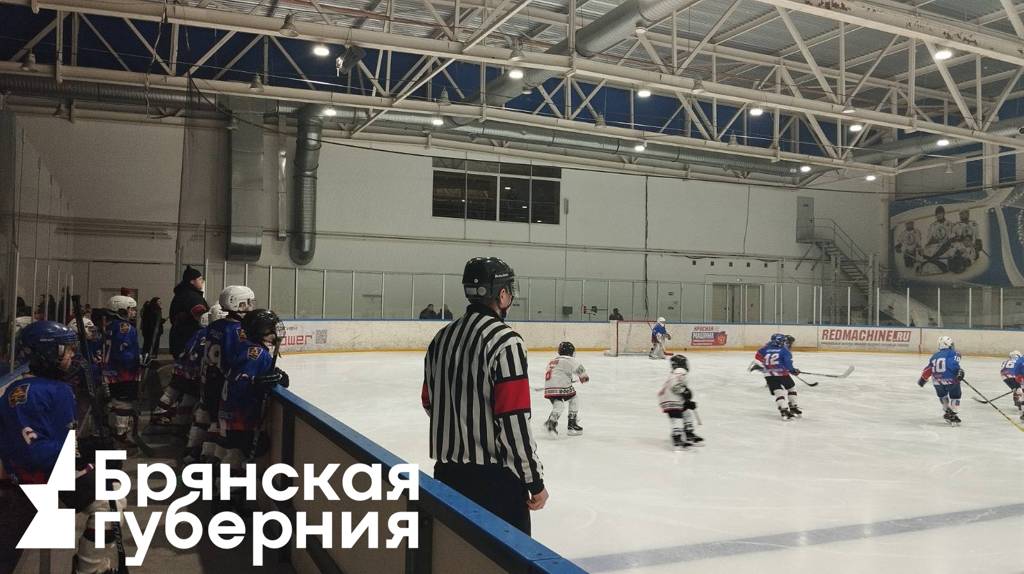 В Брянске прошел финальный матч регионального первенства по хоккею