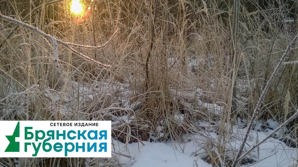 Брянцев предупредили о заморозках с 6 мая