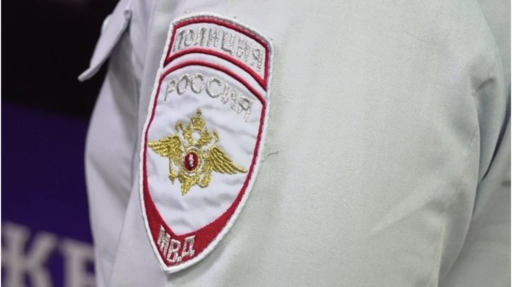 В Брянске криминальный дуэт обчистил арендуемую квартиру