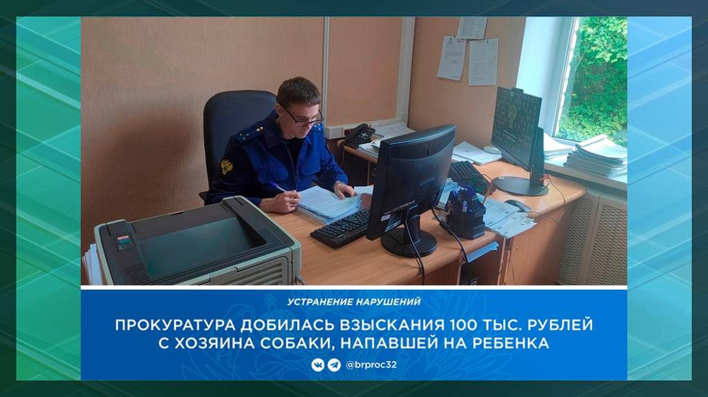 В Унече с хозяина напавшей на ребёнка собаки взыскали 100 тысяч рублей