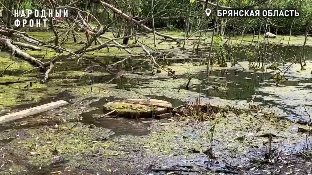 Жители улицы Луговой в Брянске пожаловались на утечку питьевой воды