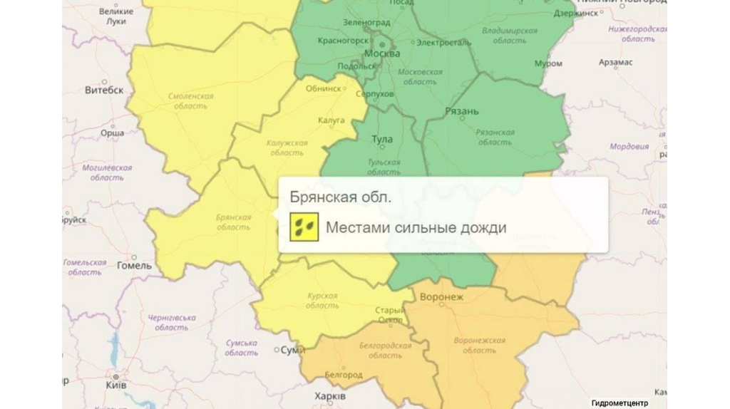 В Брянской области уровень погодной опасности повысили до желтого