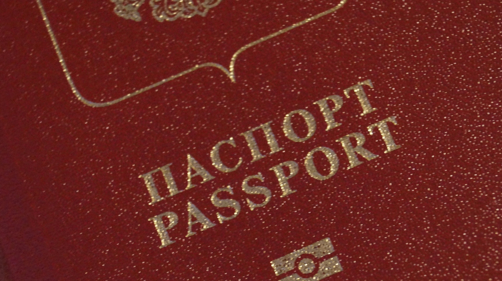 Загранпаспорт для детей станет обязательным: брянцам рассказали о новых требованиях