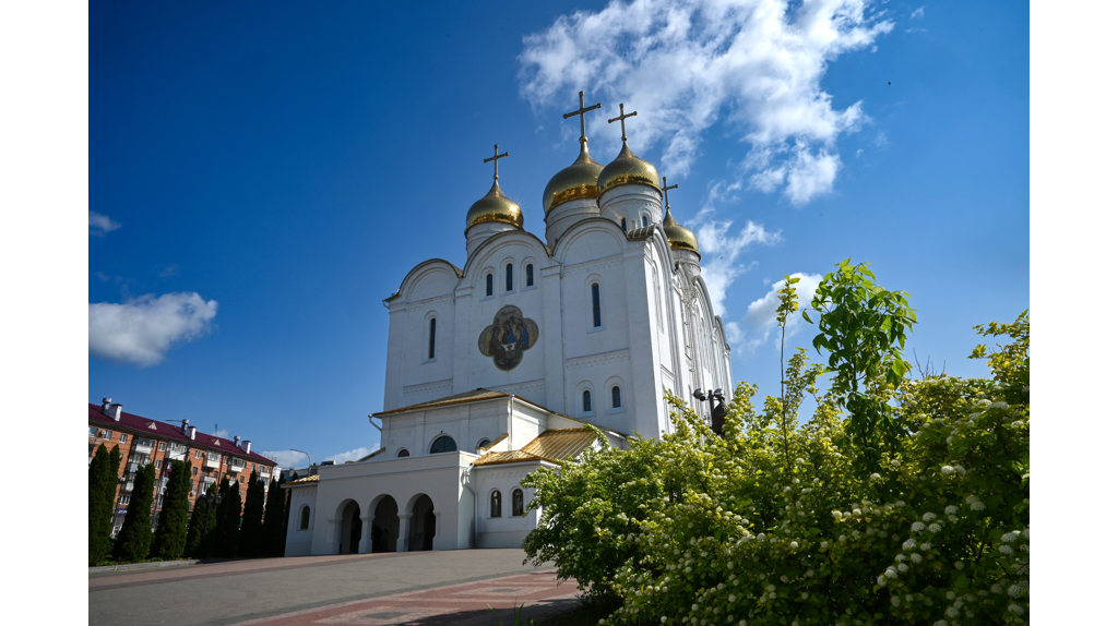 Участники инклюзивного клуба посетили Брянский кафедральный собор